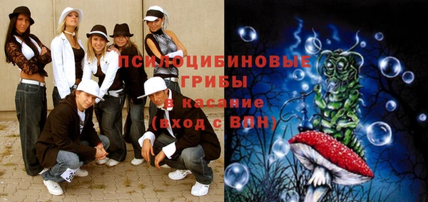 ГАЛЛЮЦИНОГЕННЫЕ ГРИБЫ Алзамай