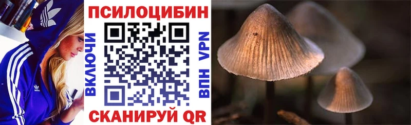 Галлюциногенные грибы прущие грибы  Западная Двина 